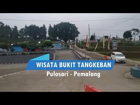 G41 Production: Menciptakan Ruang Impian di Tengah Kehidupan Adipala